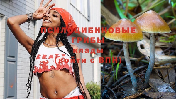 спайс Алзамай