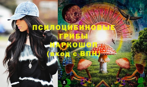 стафф Алексин
