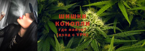 спайс Алзамай